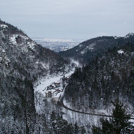 Wohlfuehlzeit Im Zittauer Gebirgeアパートメント エクステリア 写真