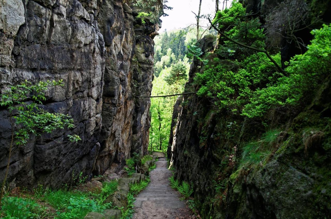 Wohlfuehlzeit Im Zittauer Gebirgeアパートメント エクステリア 写真