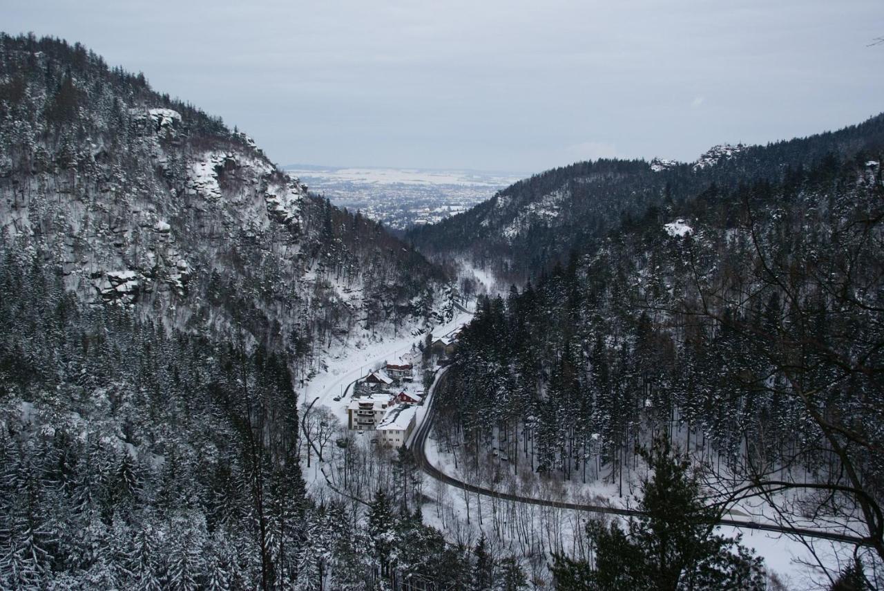 Wohlfuehlzeit Im Zittauer Gebirgeアパートメント エクステリア 写真